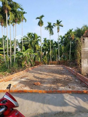 bán đất sổ hồng riêng giá rẻ tại phường thới an, quận 12 diện tích 5x14 mét