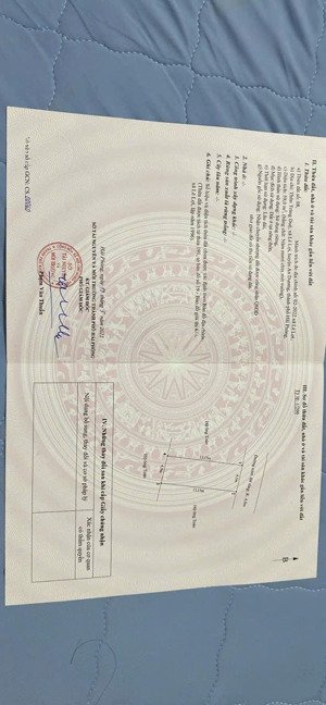 bán đất đẹp chỉ 800 triệu -tràng duệ - lê lợi - an dương