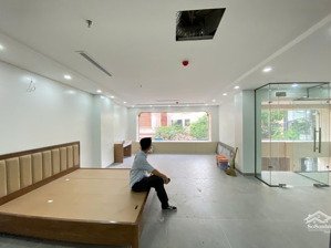 cho thuê cc mini 1pn 1wc mặt tiền siêu lớn tại ngõ 33 mỹ đình nam từ liêm, hà nội, giá chỉ 9tr vnd