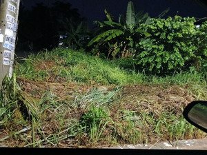 bán gấp đất nền tại kđt thịnh gia, quốc lộ 13, 1,7 tỷ, 100m2