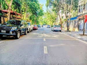 bán biệt thự tại đtm dịch vọng, 95 tỷ, 306m2, giá tốt 