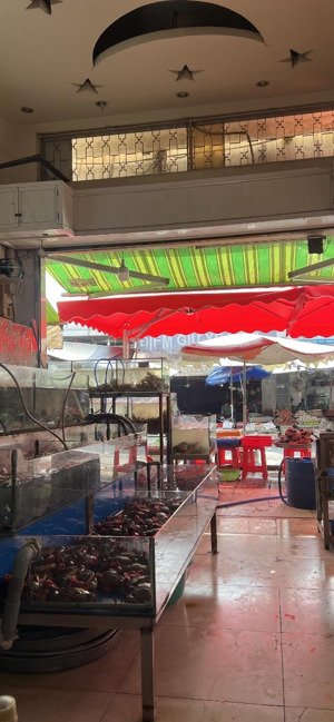 nhà riêng tại tân sơn hòa, tân bình, 22 tỷ, 58m2, chỉ với uy tín