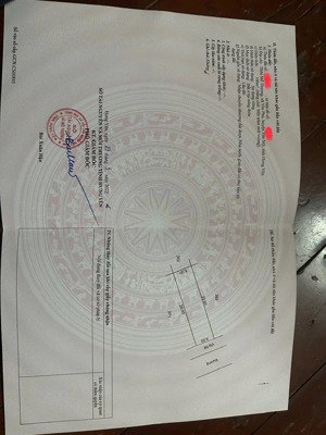 bán đất phân lô đấu giá yên mỹ hưng yên. ô tô tránh thông gần tiện ích. dt: 100m2, mt = hậu: 5m