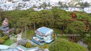 bán khu biệt phủ đà lạt bao bọc bởi đồi thông ngay trung tâm, gần 5000m² đất ở tư nhân còn sót lại