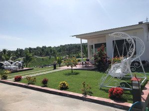 chính chủ cần bán nhà mới xây hàm thuận bắc - bình thuận