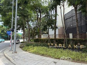 biệt phủ thượng lưu! biệt thự liền kề starlale, 135m2m mặt tiền 6m, 2 mặt thoáng, 103 tỷ