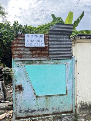 [chính chủ] thuê lâu dài nhà cấp 4 có đất thổ cư cây lâu năm diên phú