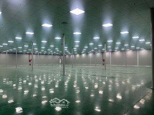 cho thuê kho - bãi kcn thọ quang , sơn trà , kho tiêu chuẩn