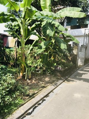 bán đất 73m2, tại xã cổ loa, huyện đông anh, ngõ thông ô tô, vài bước ra hồ điều hoà, vin cổ loa