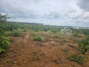 cần tiền bán gấp 1,4hecta đất-cách trung tâm tp.buôn mê thuột 14km