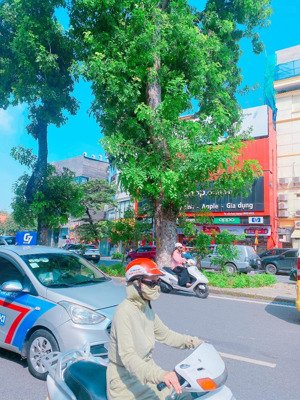 bán nhà kim mã ba đình | toà building 9 tầng | 215m2 | doanh thu 300tr/tháng