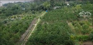 hot 506m² đất cây lâu năm, mặt ngõ 35 đào duy tùng gần ql3 km10, ga metro đông anh, c.chủ 3.5tr/m²