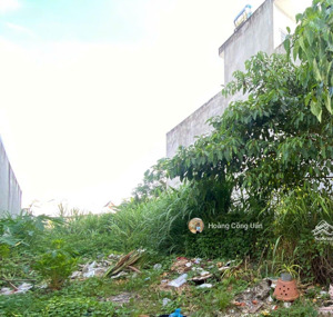 bán đất gần trường trung học tân phong/gx thuận hòa giá nhỏ cực hiếm. dt: 81m2 shr thổ cư - 1ty550