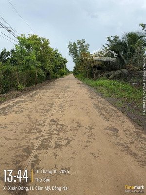 bán đất 20.000 m2 tại xuân đông, cẩm mỹ, đồng nai, giá 15 tỷ