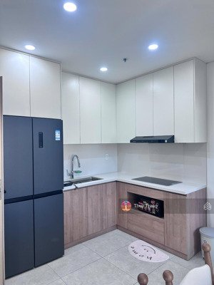 cho thuê căn hộ 2pn mới 100% view sông lạch tray ngắm pháo hoa vũ yên. bạn sẽ là người đầu tiên
