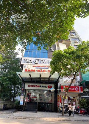 bán tòa nhà mặt tiền tô hiến thành, p 15, q 10 - 6x25m - hầm + 7 tầng - hđt 140tr/tháng - giá 38 tỷ