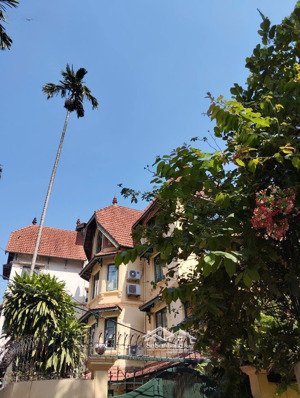 cực hiếm! biệt thự tô ngọc vân tây hồ, dt 198m2, mt 12m, thanh khoản cao, đầu tư sinh lời lớn