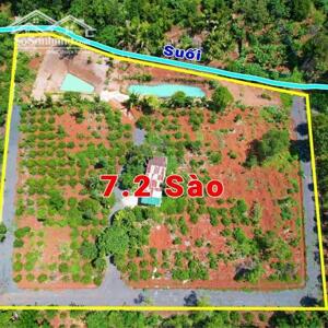 7,2 Sào Gần Nguyễn Thị Định Cách Ngã 6 Khoảng 7,5Km Sẵn Vườn Ao Và Nhà Chỉ 4,5 Tỷ Quỳnh Anh