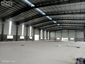 Cho thuê nhà xưởng tại Hải Dương