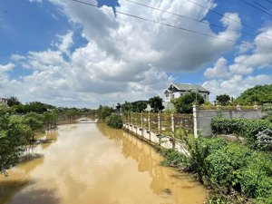 cần bán 1335m ven sông hẻm 1 làng bưởi tân triều,sẵn 256m2 thổ cư,mấy chục cây bưởi lão,nhà homstay