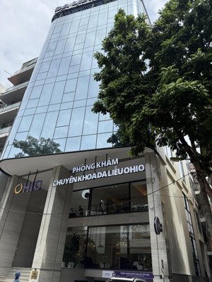 toà building hạng a - lô góc 200m2 x 10 tầng x mt 10m - vị trí siêu vip - hiếm có - dòng tiền khủng