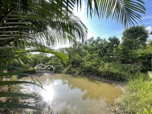 đất vườn trái cây sẵn nhà lá ao cá
