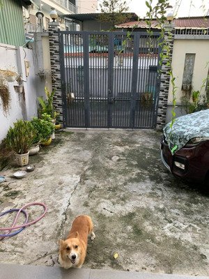 bán nr tại thống nhất, p 16, gò vấp, hcm giá ưu đãi 18,5 tỷ, diện tích 207,7m2