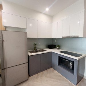 chính chủ bán căn chung cư s2 vinhome ocenpark 1+ ful nội thất