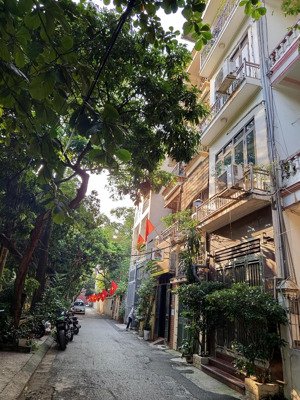 trần quốc hoàn , vuông như bánh trưng oto, plo 13 tỷ