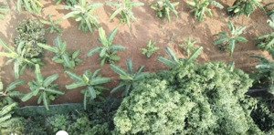 chính chủ cần bán lô đất 1510m2, rất lý tưởng cho những ai đang tìm mảnh đất để đầu tư sinh lời cao