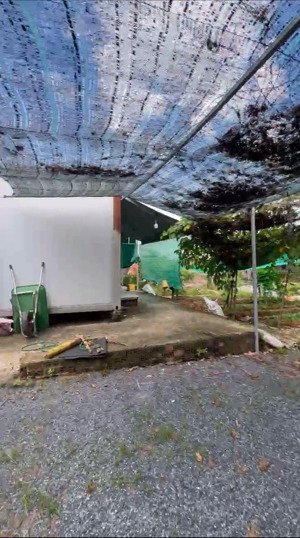 cho thuê đất trống quận 9 gần ngã 3 long thuận & long phước , xe tải tới đất.