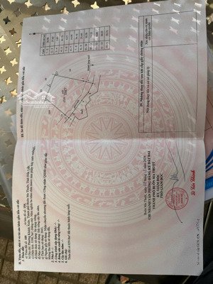 7,2 sào khánh xuân ngay nguyễn thị định rẻ vào cách đường nhựa 300m 4,5 tỷ sẵn vườn ao nhà ở