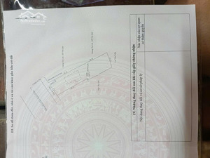 bán gấp đất 1807m2 tại phạm ngọc thạch, phú mỹ, thủ dầu một, bình dương