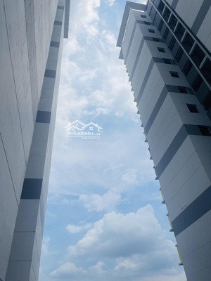 bán căn hộ 3 pn chung cư terra nhà mới 100%