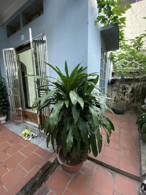 bán nhà lô góc mỹ đình ô tô đỗ cửa vị trí vàng xây ccmn 65m 3 tầng mt 5.5m 12.5 tỷ