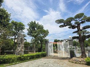 mua đất được nhà không phải chuyện đùa, ngay tại quốc oai