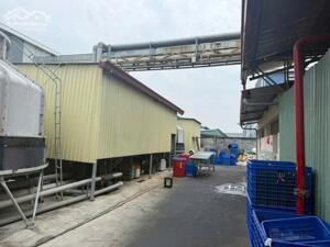 CHO THUÊ HOẶC BÁN XƯỞNG TRONG KCN BÌNH DƯƠNG