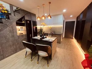 cần bán căn hộ chung cư sk9 dt 50m có gác lửng giá chỉ 1,6 tỷ