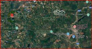 cho thuê đất trồng rau vị trí đẹp, giá tốt tại bình phước