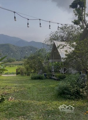 bán đất thổ cư 1.700 m2 hình chữ l , có 450 m2 đất ở,vị trí gần địa điểm du lịch sinh thái hoà bắc