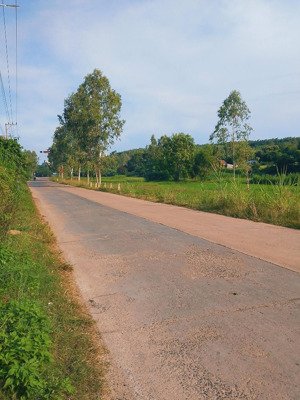 bán nguyên cơ sở vườn dừa sổ sẵn 8800m2, đã đầy đủ cơ sở hạ tầng, cách biển hòn yến, tuy an chỉ 1km