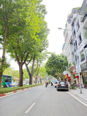 ba đình - phân lô quân đội - ô tô - 5 tầng- mtien 7m - 31.9tỷ