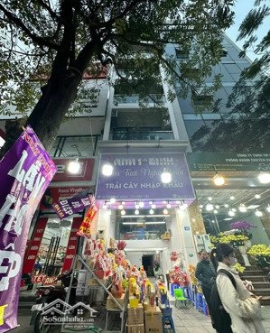 trần duy hưng- cầu giấy- hn. mặt phố- vỉa hè- kd- ôtô- 8 tầng thang máy.