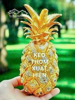 cần bán gấp 2 lô dự án tân cảng phú hữu ng duy trinh - lô trục chính 20m dt 6x16 đẹp giá 51tr/m2.