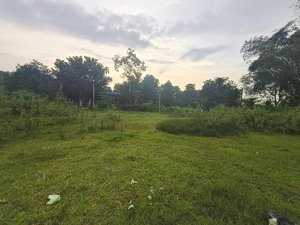 bán nhanh lô đất 2330m giá chỉ 7,3 tỷ mặt tiền 40m, đẹp rẻ, chính là em đó