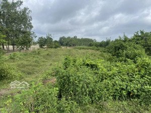 chính chủ cần bán đất tại đường hồ chí minh, 6 tỷ, 1646.7 m2, dtc, pháp lý đầy đủ