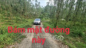 bán 1956m đất rsx tại núi voi vân trục lập thạch vĩnh phúc.gần hồ vân trục