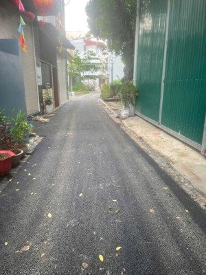 bán 65m phúc thọ, mai lâm , đông anh