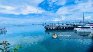 bán đất biệt thự lê văn lương ngay công viên đại dương - mt hướng biển, lưng tựa núi sơn trà.