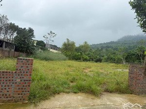 chính chủ gửi bán lô đất dt 449,5m2 tại thôn muồng voi-xã vân hoà (cũ) ba vì-hà nội -vị trí đẹp đ